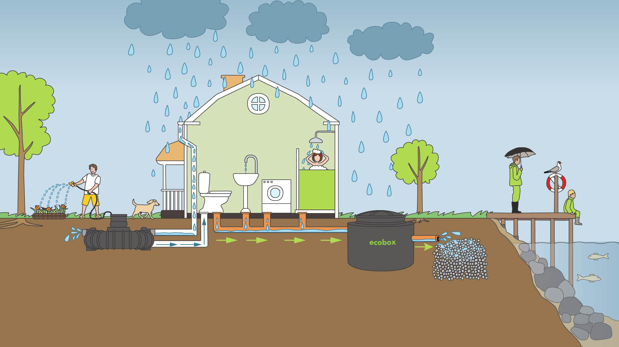 Kretsloppet av regnvatten, rening och återanvändning till vattning och WC.